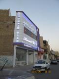 کرم زادگان 